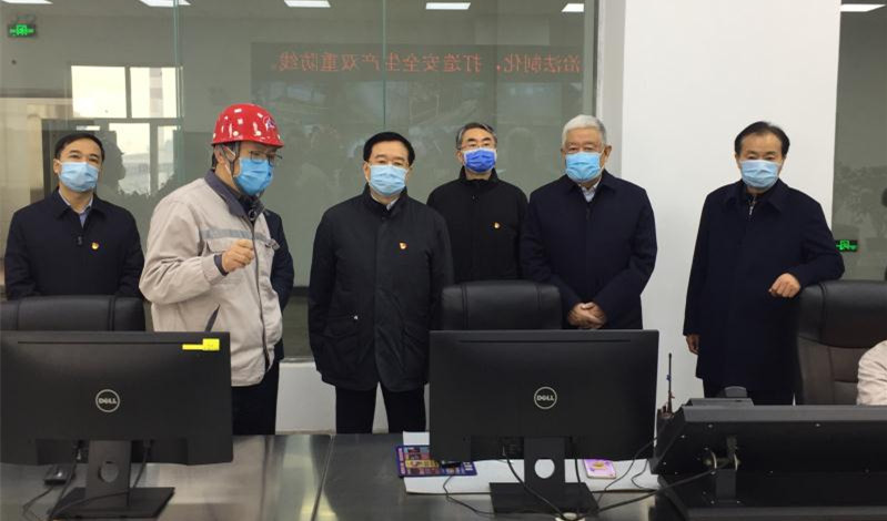 河南省委书记王国生到我公司检查指导疫情防控复工复产情况