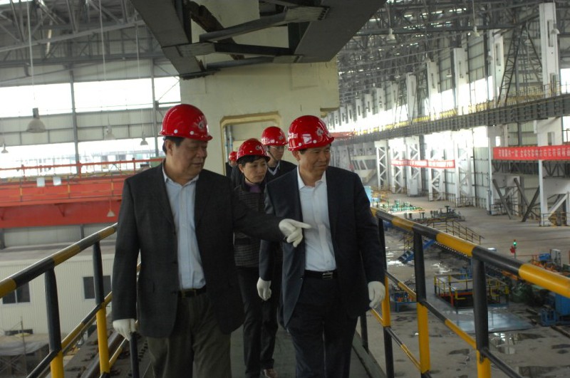 河南省副省长陈雪枫来我公司视察