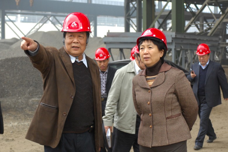 省委常委、济源市市委书记赵素萍到我公司调研