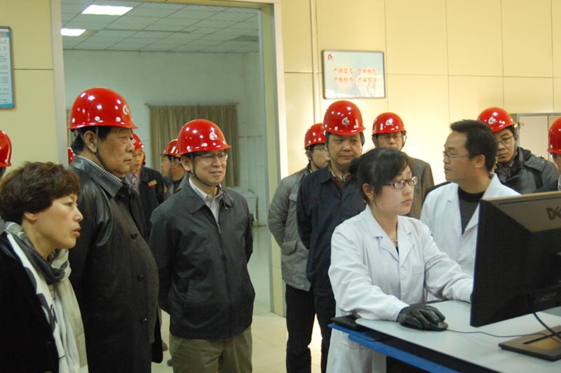 国家工信部原材料司副司长骆铁军来我公司调研